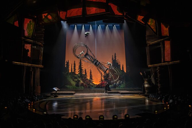 Drawn to Life presented by Cirque du Soleil and Disney - What the audience response tells you