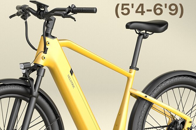 Electric Bike Rentals in The Villages Florida - Delivery changes the shape of the day