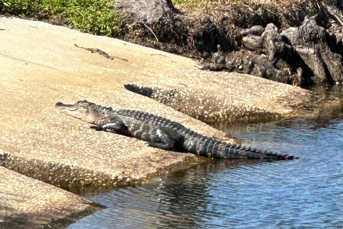 Epic 2-Hour Kissimmee E-Bike Adventure Awaits with Toho Bikes! - Starting at the Kissimmee lakefront