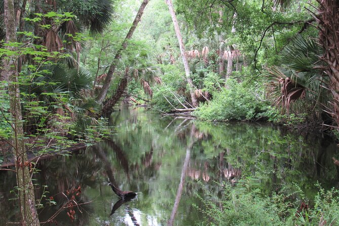Exclusive Nature Escape Kayak Adventure on Blackwater Creek - Why the six-person limit improves the outing