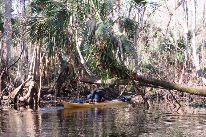 Exclusive Nature Escape Kayak Adventure on Blackwater Creek - The physical side of a three-hour paddle