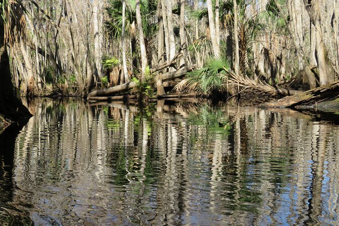 Exclusive Nature Escape Kayak Adventure on Blackwater Creek - What the $90 price includes