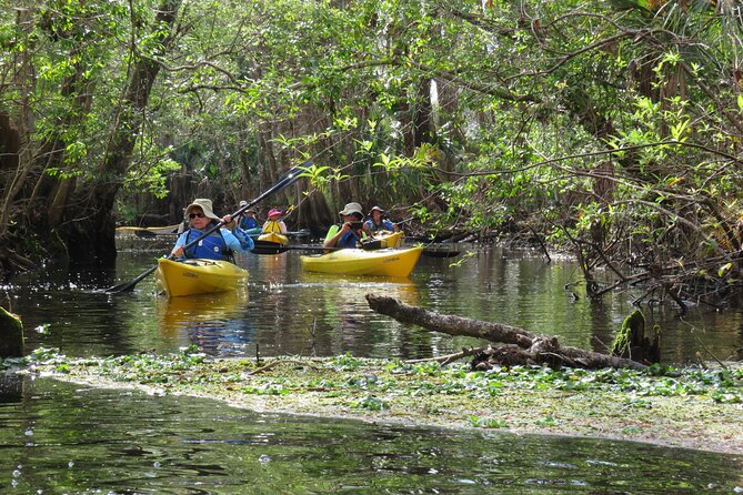 Exclusive Nature Escape Kayak Adventure on Blackwater Creek - The meeting point and morning logistics