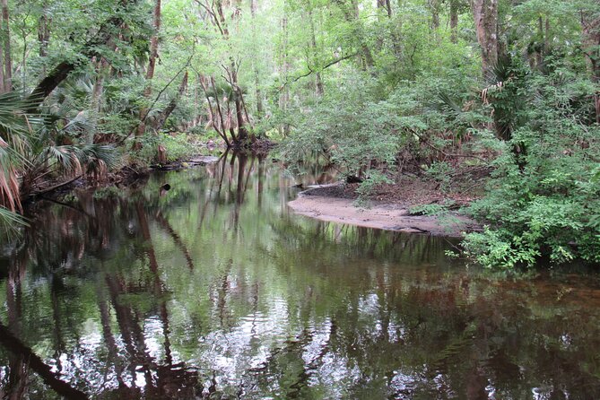 Exclusive Nature Escape Kayak Adventure on Blackwater Creek - Who will get the most from this experience