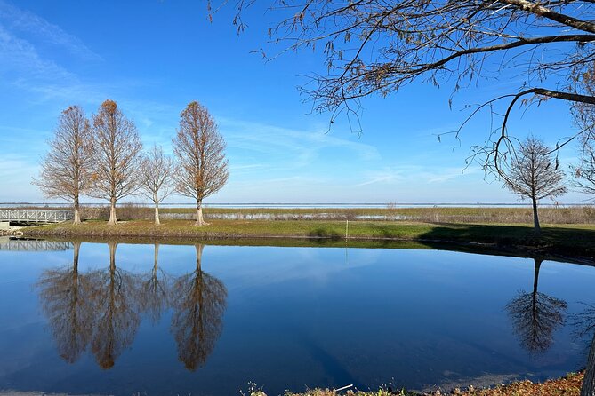 Experience Kissimmee Lakefront Mountain Bike Tour (2 Hours) - Bikes, electric assistance, and physical effort