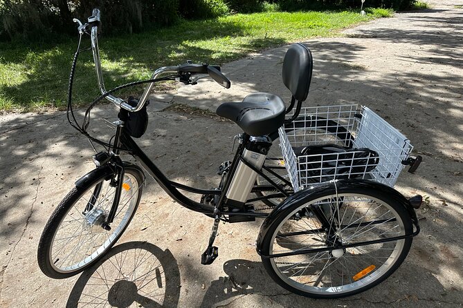 Experience Wild Florida Nature Up Close on Electric Trike (2 hrs) - Key points to know before you ride