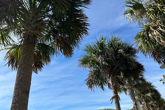 Experience Wild Florida Nature Up Close on Electric Trike (2 hrs) - Why an electric trike works so well in Kissimmee