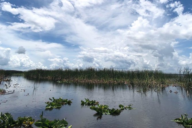 Florida Everglades Airboat Tour and Wild Florida Admission with Optional Lunch - Is $37 a good value near Orlando?