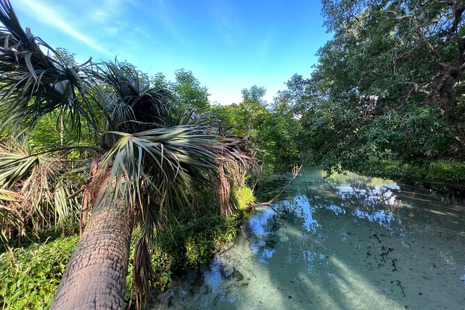 Florida paddle excursions - Why this makes a good break from Orlando’s parks