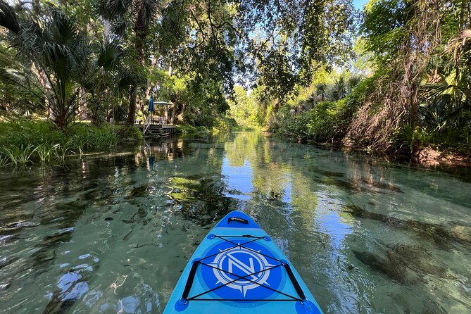 Florida paddle excursions - Reaching the final point and floating back