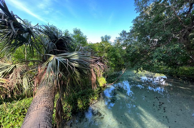 Florida paddle excursions - Who will enjoy this most