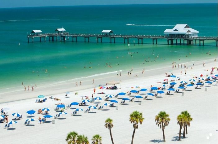 From Orlando: Clearwater Beach and Marine Aquarium Admission - Seeing the Clearwater Marine Aquarium