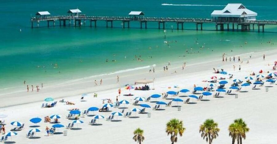 From Orlando: Clearwater Beach and Marine Aquarium Admission - Lunch, food, and the value of the price