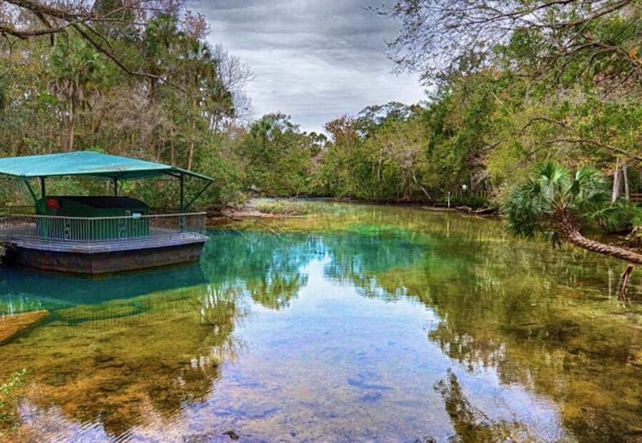 From Orlando: Manatee Snorkel Tour with Lunch & Hotel Pickup - Is $169 a fair price?
