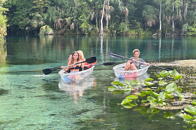Gator Viewing Clear Kayak Springs Tour - Key points to know before you paddle