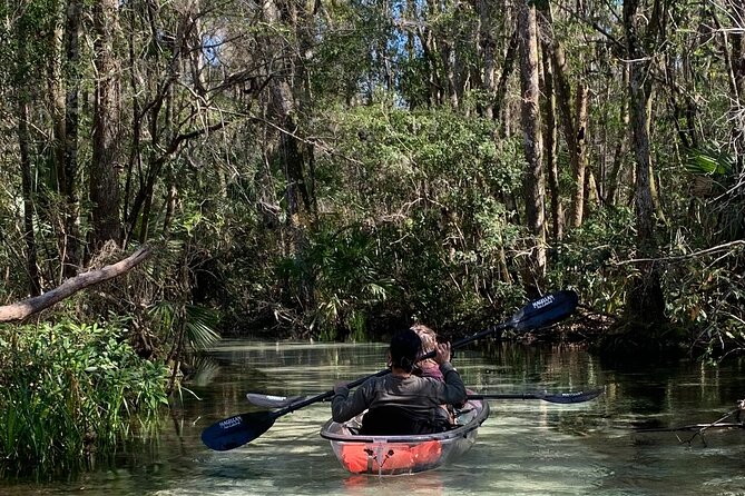 Glass Bottom Kayak Eco Tour through Rainbow Springs - Key points to know before you book