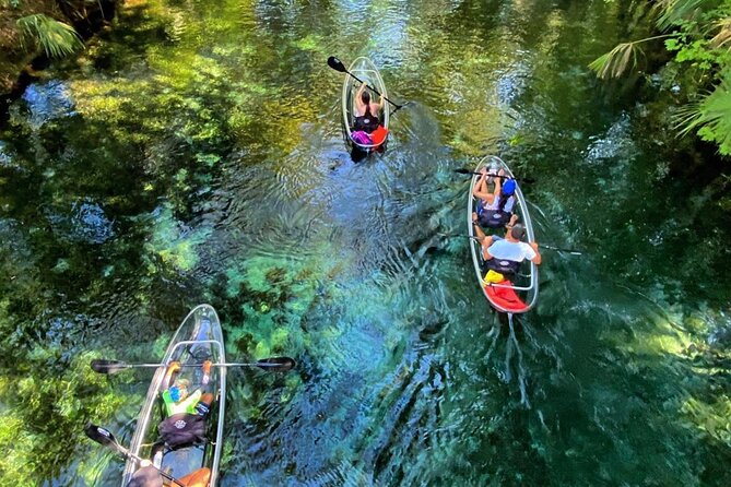 Glass Bottom Kayak Tours of Silver Springs - Key points to know before you paddle