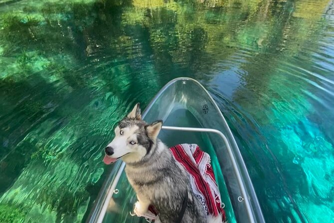 Glass Bottom Kayak Tours of Silver Springs - Following the spring run for 90 minutes to two hours
