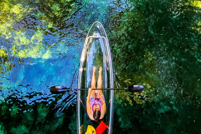 Glass Bottom Kayak Tours of Silver Springs - What you might see below and along the banks