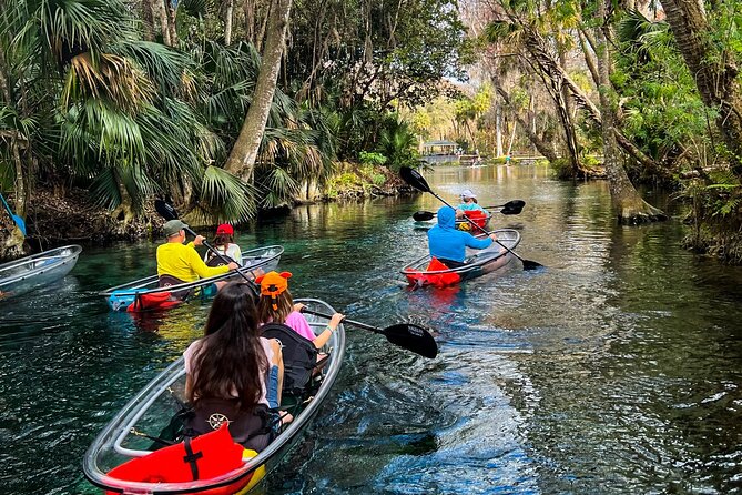 Glass Bottom Kayak Tours of Silver Springs - Getting comfortable in the clear kayaks