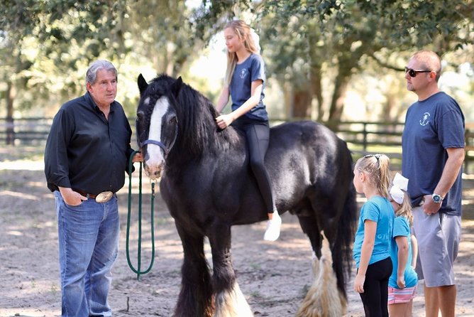 Gypsy Gold Horse Farm Tour - Practical planning for a smooth visit