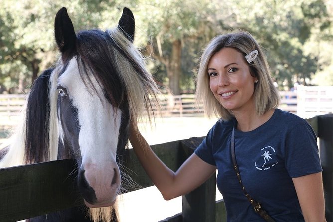 Gypsy Gold Horse Farm Tour - The strongest part of the experience