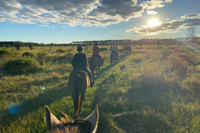 Horseback Ride on Scenic Lake Louisa Trails - Key details before you saddle up