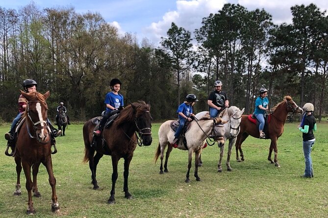 Horseback Ride on Scenic Lake Louisa Trails - Meeting the horses and getting comfortable