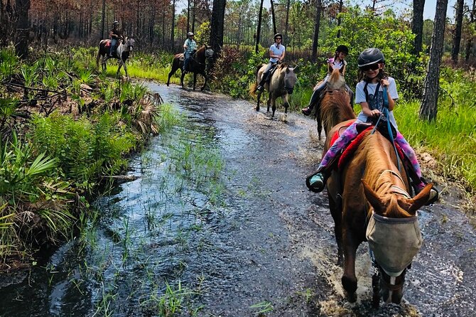 Horseback Ride on Scenic Lake Louisa Trails - Plants, wildlife, and local stories along the way