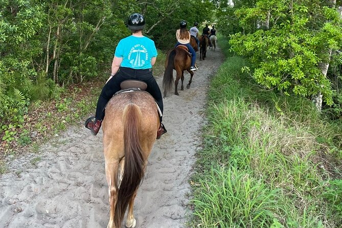 Horseback Ride on Scenic Lake Louisa Trails - Price, park fees, and what you receive