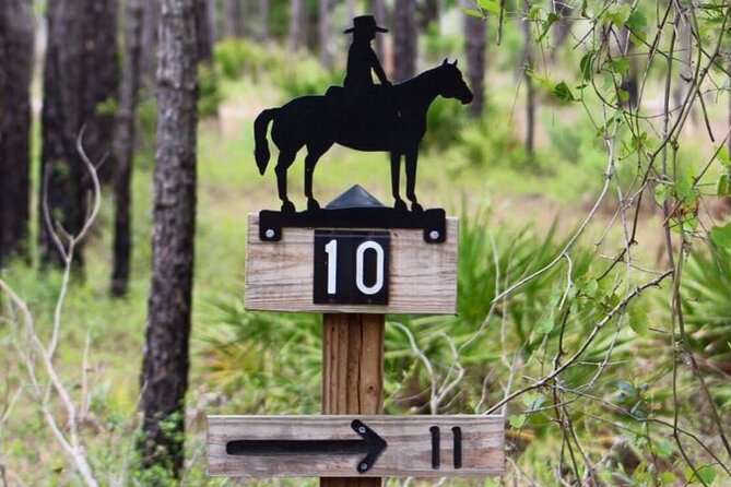 Horseback Ride on Scenic Lake Louisa Trails - Group size and the feel of the ride