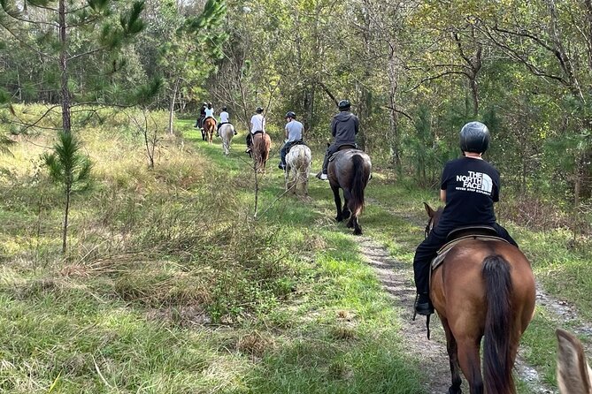 Horseback Ride on Scenic Lake Louisa Trails - Riding several miles through the state park