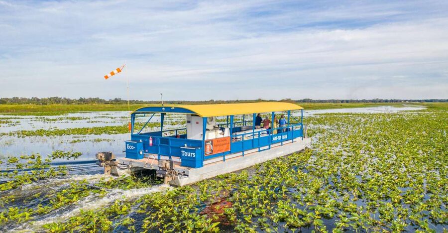 Kissimmee: 1 Hour Florida Everglades Pontoon Boat Tour - Key points to know before you go