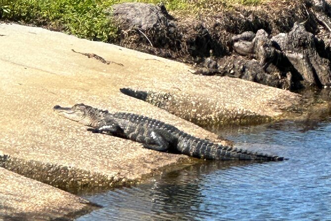 Kissimmee and St. Cloud Beach Tour on All Electric Trike (4 hrs.) - Key points to know before you book