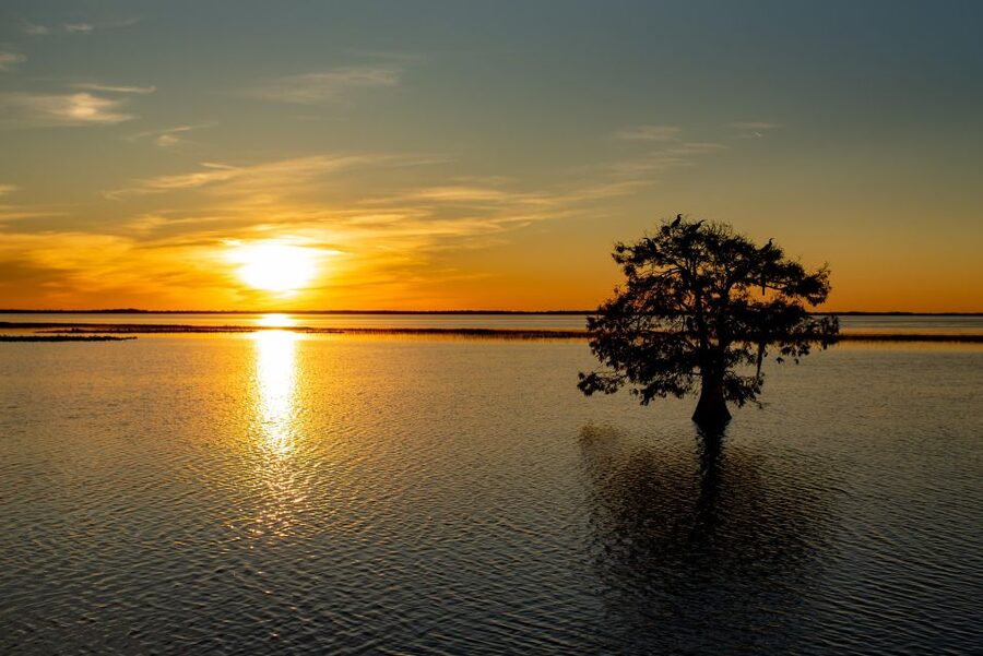 Kissimmee: Boggy Creek Sunset Airboat Tour - Key points to know before you book