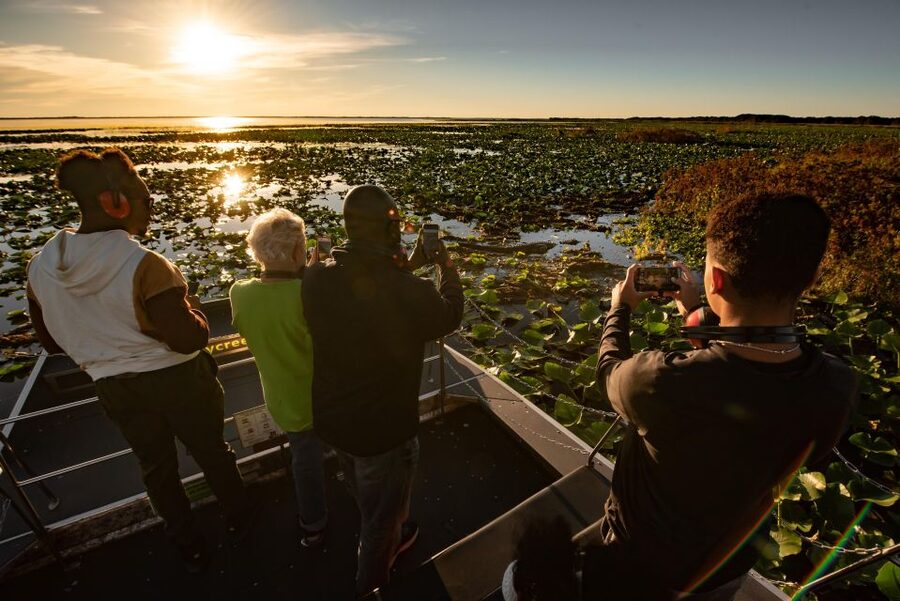 Kissimmee: Boggy Creek Sunset Airboat Tour - The first part of the hour: searching for wildlife