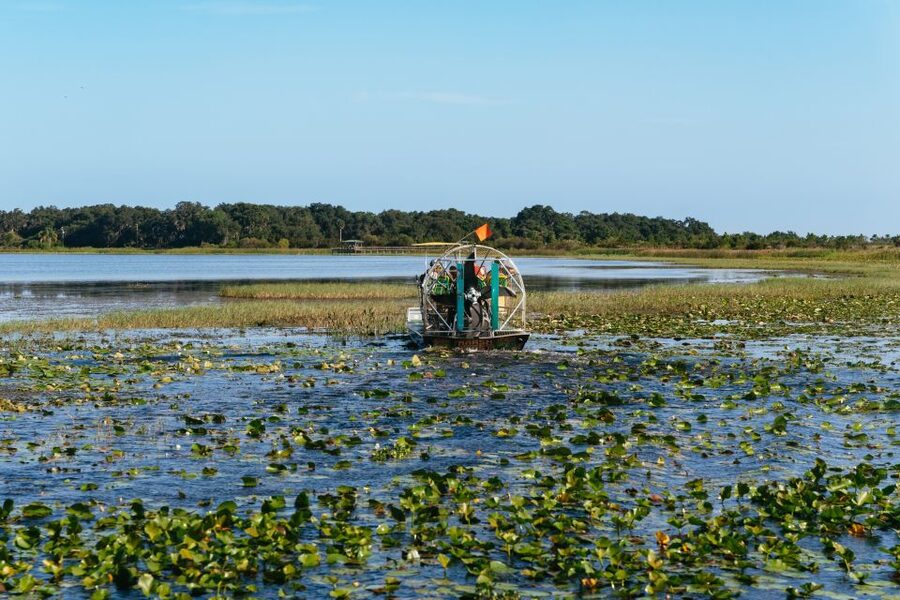 Kissimmee: Everglades Airboat Adventure Tour - One hour or 90 minutes on Shingle Creek