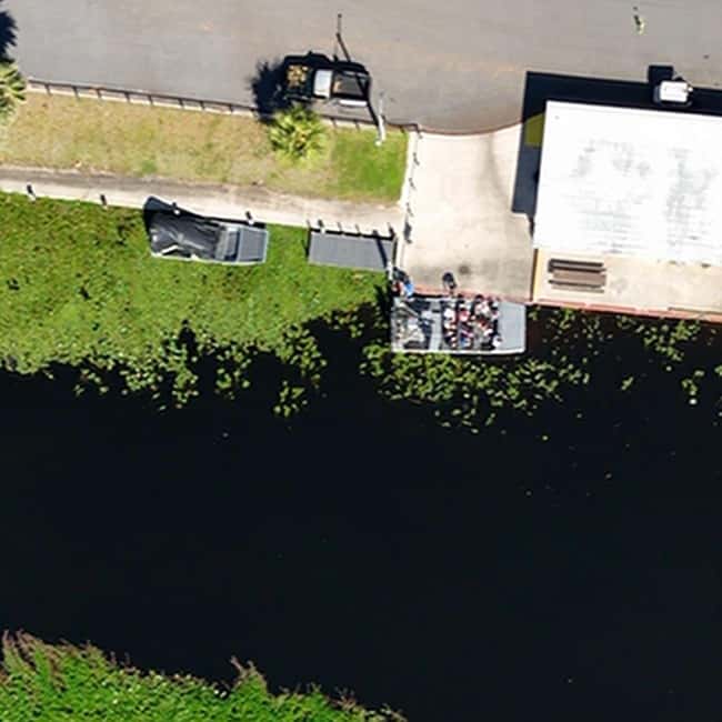 Kissimmee: Everglades Alligator and Wildlife Airboat Tour - Is $37 a fair price?