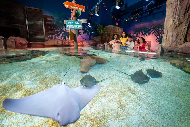 LEGOLAND Florida Theme Park Admission Tickets - SEA LIFE Aquarium is compact but useful