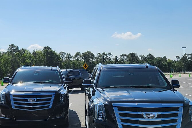 Luxury Transfers Orlando Airport to Disney Resort Area - Booking Timing and Cancellation Rules