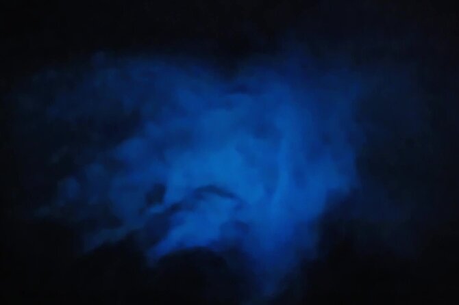 Magic After Dark Bioluminescence Kayak Tour Orlando - Why glowing water is worth the late outing
