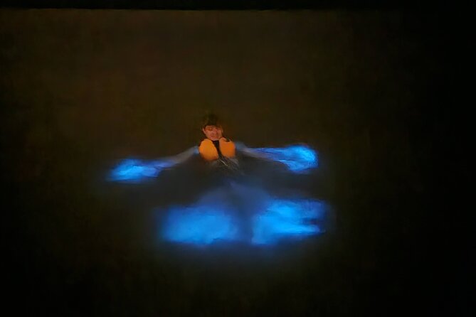 Magic After Dark Bioluminescence Kayak Tour Orlando - Wildlife before and after sunset