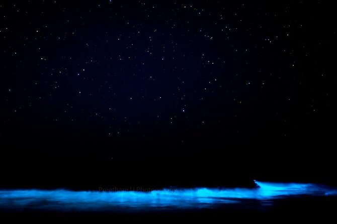Magic After Dark Bioluminescence Kayak Tour Orlando - The best way to experience the glow