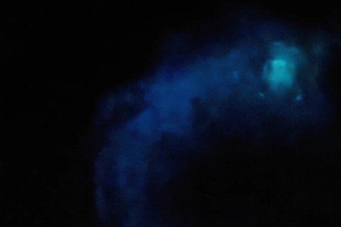Magic After Dark Bioluminescence Kayak Tour Orlando - Who should book this experience