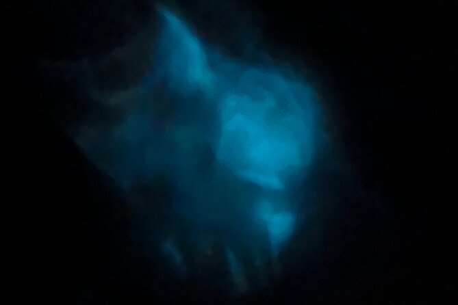 Magic After Dark Bioluminescence Kayak Tour Orlando - A simple lesson before you launch