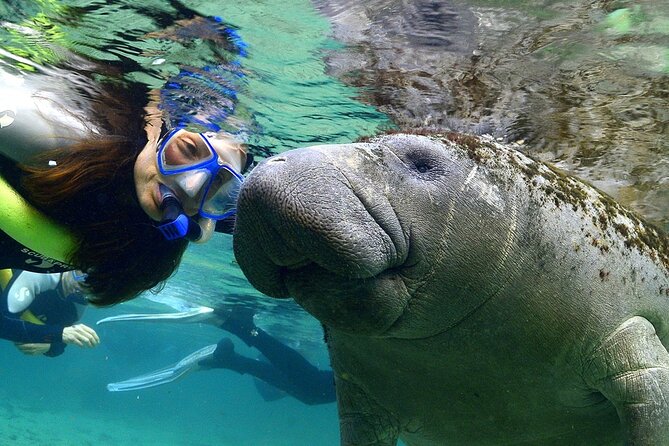 Manatee Snorkeling Adventure Tour with Lunch & Hotel Pickup - Why Crystal River is the heart of the day