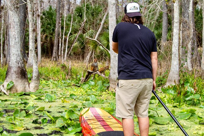 Manatees, Monkeys and Florida Natural Spring Adventure Tour - Is $75 a fair price for two hours?
