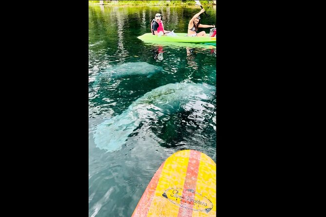 Manatees, Monkeys and Florida Natural Spring Adventure Tour - Group size, timing, and practical planning