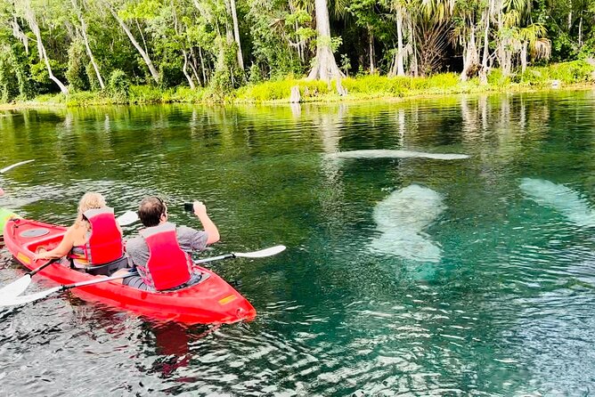 Manatees, Monkeys and Florida Natural Spring Adventure Tour - Through the oak and cypress shade