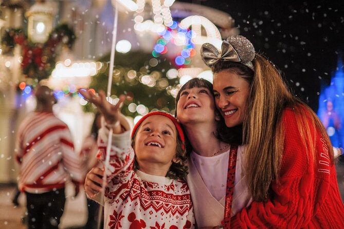Mickey's Very Merry Christmas Party at the Magic Kingdom - The Frozen-inspired castle show